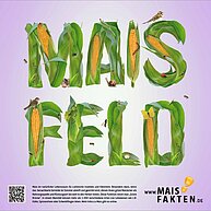 Feldrandschild 2016 | Maisfeld